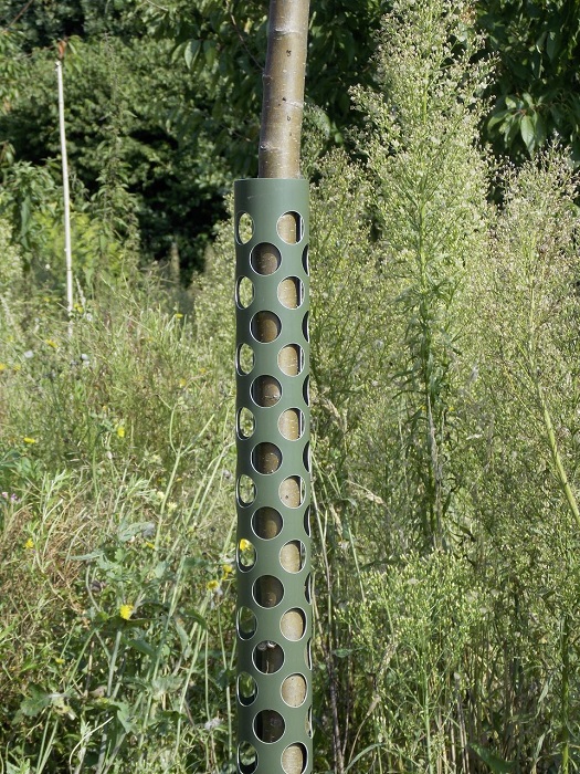 Eawfgtuw Protection De Tronc D'arbre, Cage De Protection Des Plantes, Piquets En Métal Pour Jardin, Hauteur Extensible, Facile à Installer, Protection Anti-cerfs Pour Jeunes Arbres - Prévention Des
