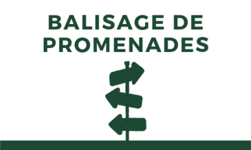 Balisage